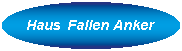 Link Fallen Anker